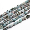 Natural Larimar Beads Strands G-D0002-B38-4