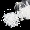 Two Cut Glass Seed Beads X-CSDBTC01-1