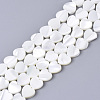 Natural Trochid Shell/Trochus Shell Bead Strands SSHEL-N034-67-1