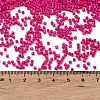 Baking Paint Glass Seed Beads X-SEED-S042-05B-69-4