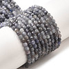 Natural Tanzanite Beads Strands LS-G-S387-A01-3mm-2
