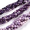 Natural Lepidolite/Purple Mica Stone Beads Strands G-K415-10mm-1