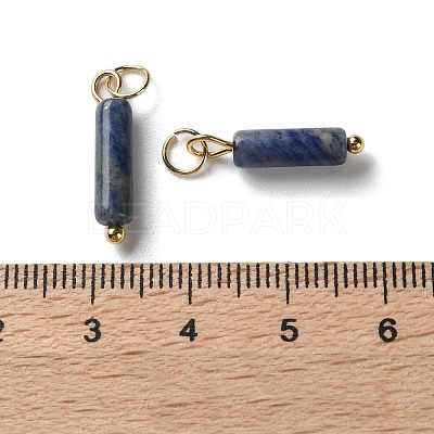 Natural Sodalite Pendants STAS-C120-01G-03-1