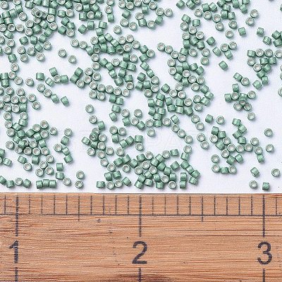 MIYUKI Delica Beads X-SEED-J020-DB1171-1