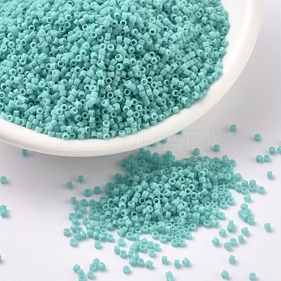 MIYUKI Delica Beads SEED-X0054-DB1136-1