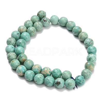 Natural Peruvian Turquoise(Jasper) Beads Strands G-L642-B08-10mm-1