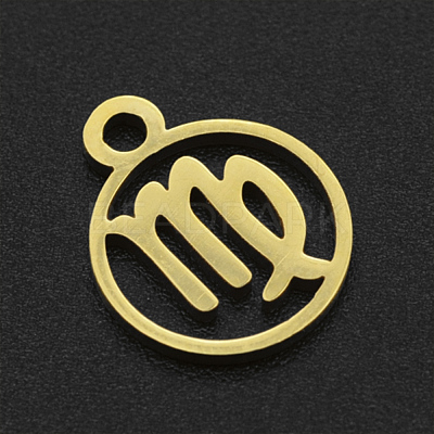 201 Stainless Steel Charms STAS-T014-LA111-6-1