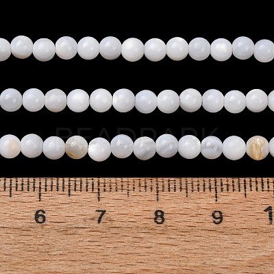 Natural Freshwater Shell Beads Strands SH-CBA2978-07D-03-1
