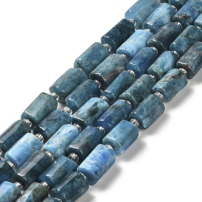 Natural Apatite Beads Strands G-N327-06-27-1