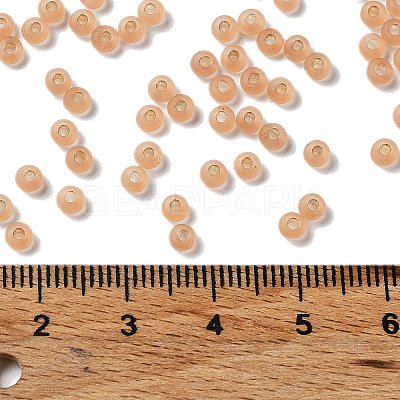 8/0 Glass Seed Beads SEED-Z001-C-E10-1