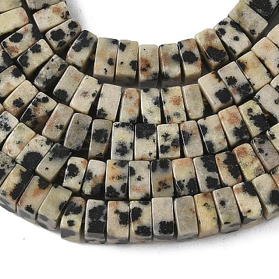 Natural Dalmatian Jasper Beads Strands G-A280-C07-01-1