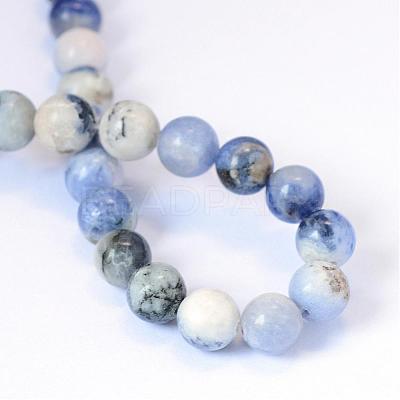 Natural Sodalite Round Bead Strands G-E334-10mm-08-1
