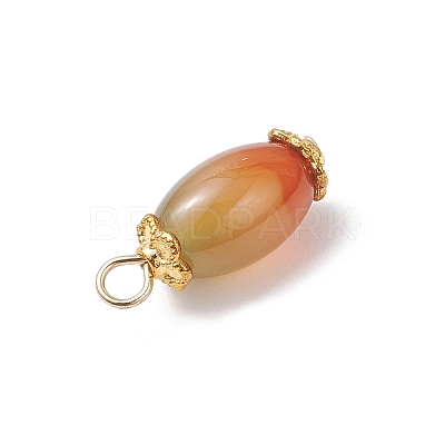 6Pcs Natural Peacock Agate(Dyed & Heated) Pendants PALLOY-JF04532-03-1