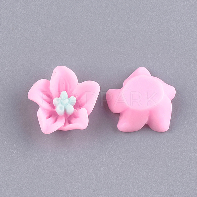 Resin Cabochons CRES-T010-29E-1
