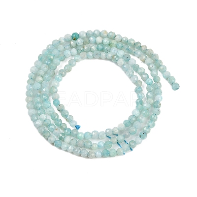Natural Amazonite Bead Strands G-P279-42-2mm-01-1
