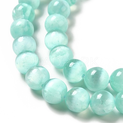 Natural Selenite Beads Strands G-P493-01G-1