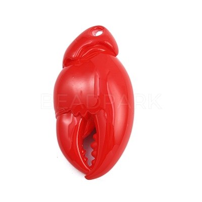 Acrylic Big Pendants OACR-D313-01A-1
