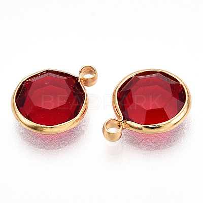 K9 Glass Charms X1-GLAA-T023-37A-04-1