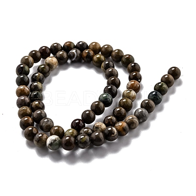 Round Natural Ocean Agate/Ocean Jasper Beads Strands G-L574-02A-1