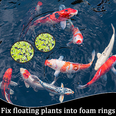 2 Sets EVA Foam Feeding Ring for Fish AJEW-CN0002-52A-1