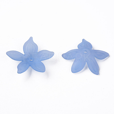 Transparent Acrylic Beads MACR-S373-127-D04-1