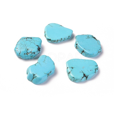 Natural Magnesite Beads TURQ-L031-002-1