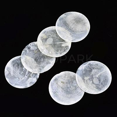 Flat Round Capiz Shell Beads SSHEL-R035-13-A-1