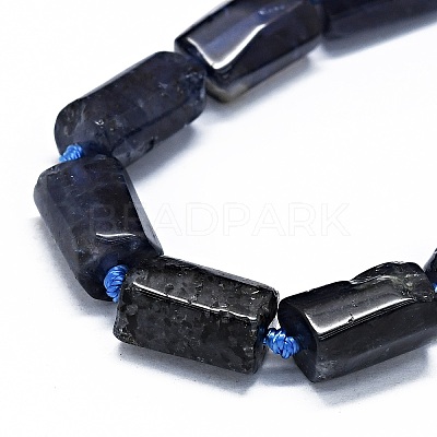 Natural Iolite Beads Strands G-O170-102-1