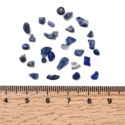 Natural Lapis Lazuli Chip Beads G-L453-05-1