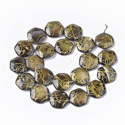 Drawbench Freshwater Shell Beads Strands X-SHEL-T014-013C-1
