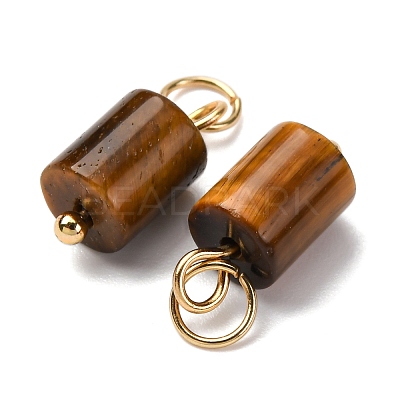 Natural Mixed Gemstone Column Charms with 304 Stainless Steel Jump Rings G-Q032-01-1