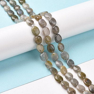 Natural Labradorite Beads Strands G-C238-37-1