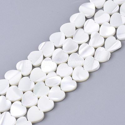 Natural Trochid Shell/Trochus Shell Bead Strands SSHEL-N034-67-1