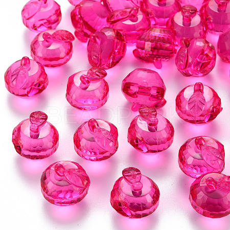 Transparent Acrylic Pendants TACR-T024-05B-906-1
