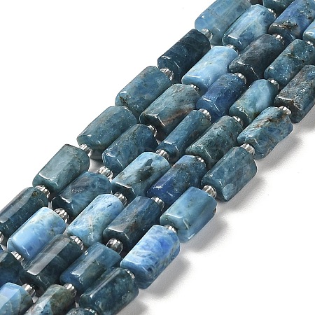 Natural Apatite Beads Strands G-N327-06-27-1