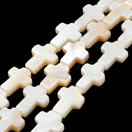 Natural Freshwater Shell Beads Strands BSHE-G034-26-1