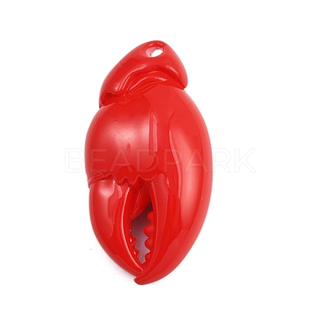 Acrylic Big Pendants OACR-D313-01A-1