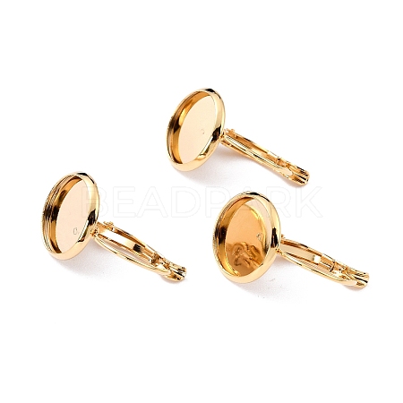 304 Stainless Steel Leverback Earring Settings X-STAS-F191-03G-10mm-1