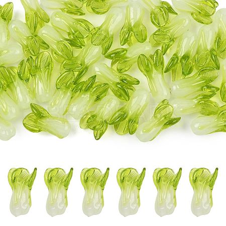36Pcs Handmade Lampwork Beads LAMP-FS0001-74-1