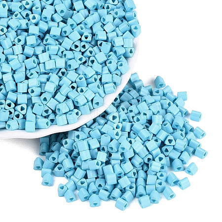 FGB Baking Paint Glass Seed Beads SEED-Q040-09A-14-1