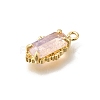 Brass Glass Charms KK-U061-10G-04-2