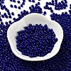 Baking Paint Glass Seed Beads SEED-H002-I-A517-2