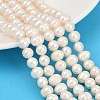 Natural Cultured Freshwater Pearl Beads Strands PEAR-I007-07X-07D-1