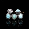 Natural Larimar Beads PW-WG6E28C-01-1