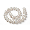 Natural Cultured Freshwater Pearl Beads Strands PEAR-S012-53-2