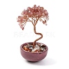 Natural Strawberry Quartz Chips Tree Decorations DJEW-M012-02I-1