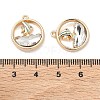 Alloy Glass Pendants FIND-B061-05G-B04-3