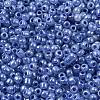8/0 Glass Seed Beads X1-SEED-A011-3mm-146-2