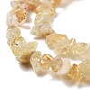 Natural Citrine Chips Beads X-F091-4