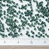 MIYUKI Delica Beads X-SEED-J020-DB0276-4